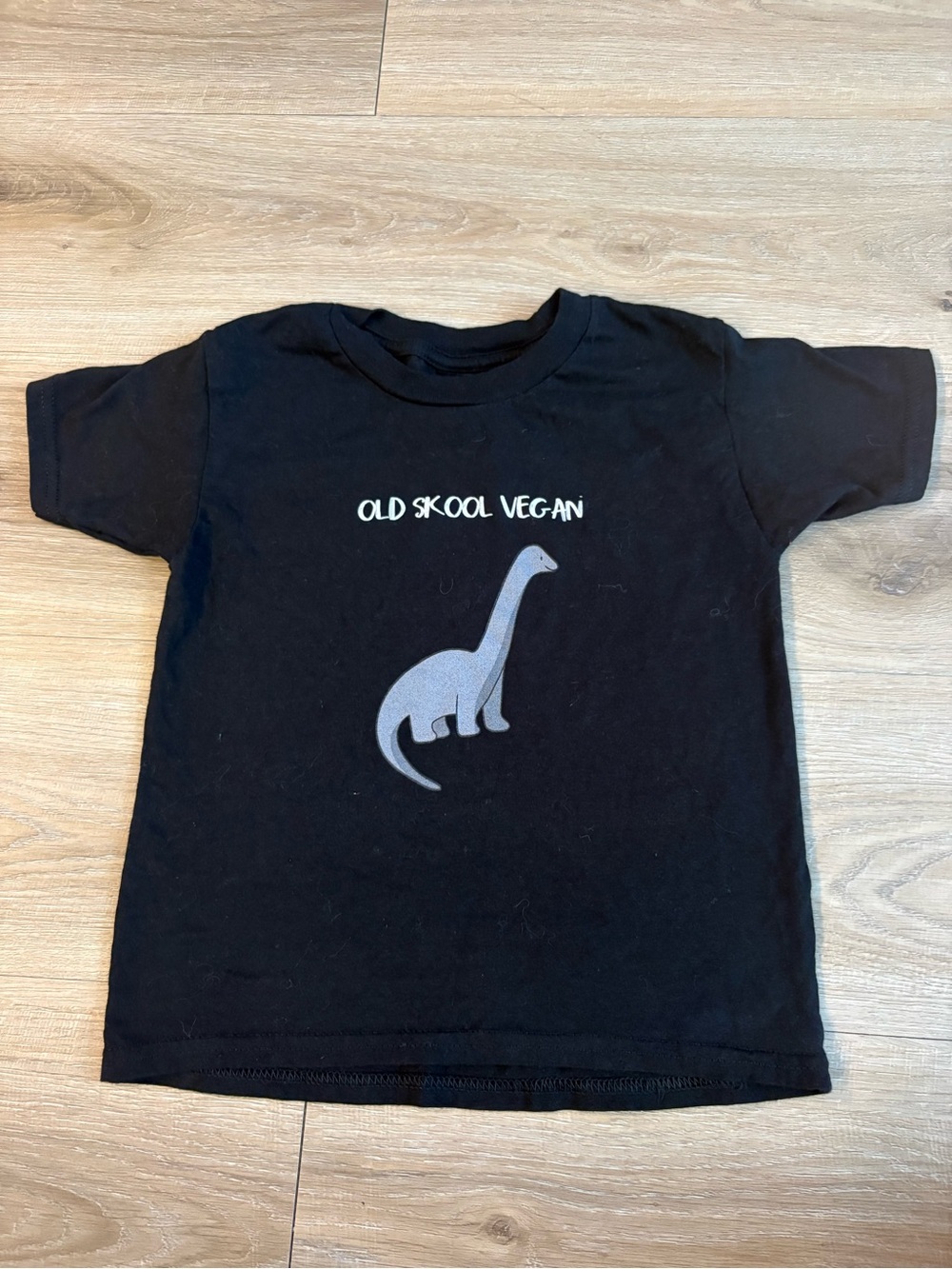 Gildan Black Kids Tee with Silver Dinosaur Graphic